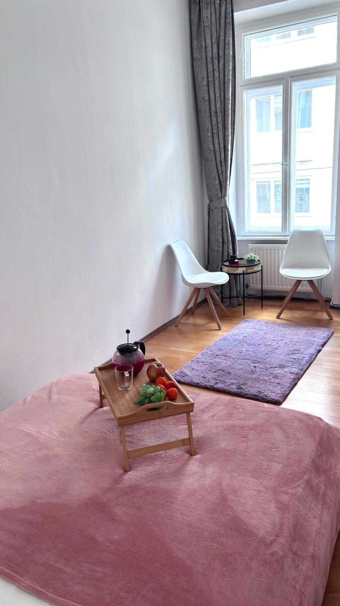 Big And Comfortable Mariahilfer Apartment Vienna Luaran gambar