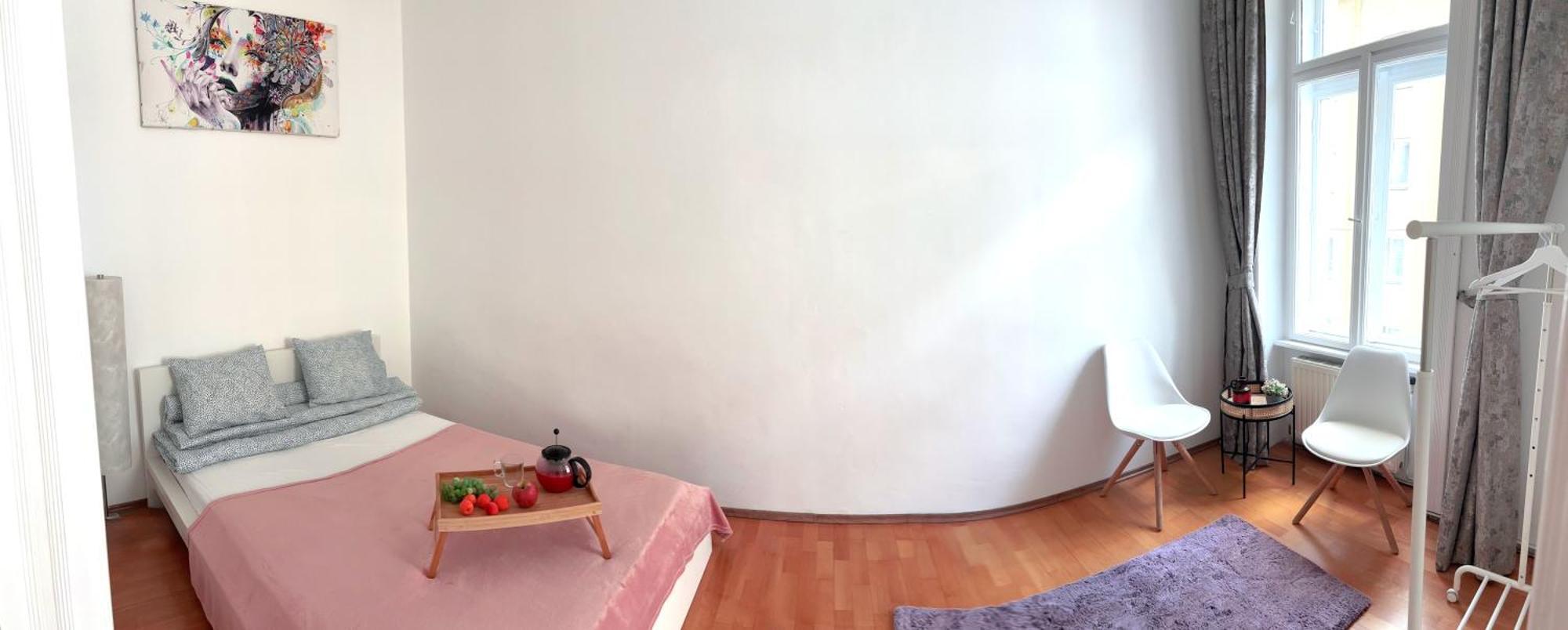 Big And Comfortable Mariahilfer Apartment Vienna Luaran gambar
